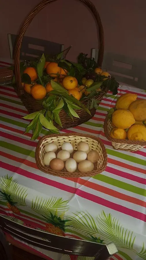 Finca Rural Torres Casas 1 Y 4 Bed & Breakfast 베가데산마테오 펜션