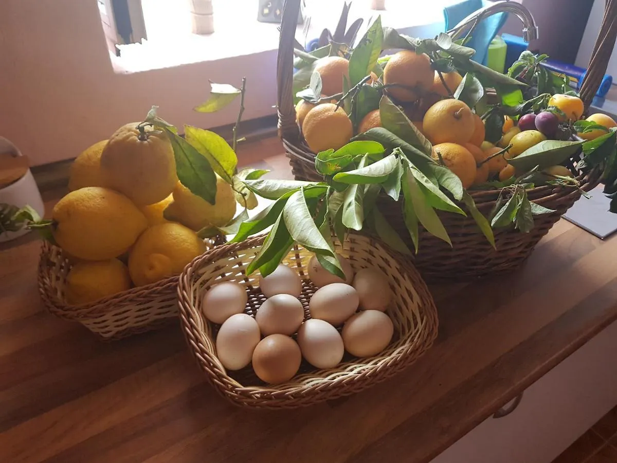 Сasa de vacaciones Finca Rural Torres Casas 1 y 4 Bed&Breakfast Vega de San Mateo
