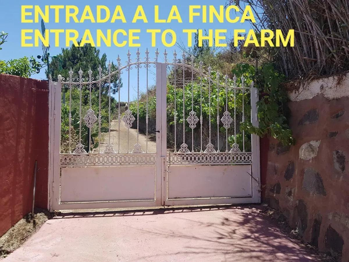 Finca Rural Torres Casas 1 Y 4 Bed & Breakfast Vega de San Mateo